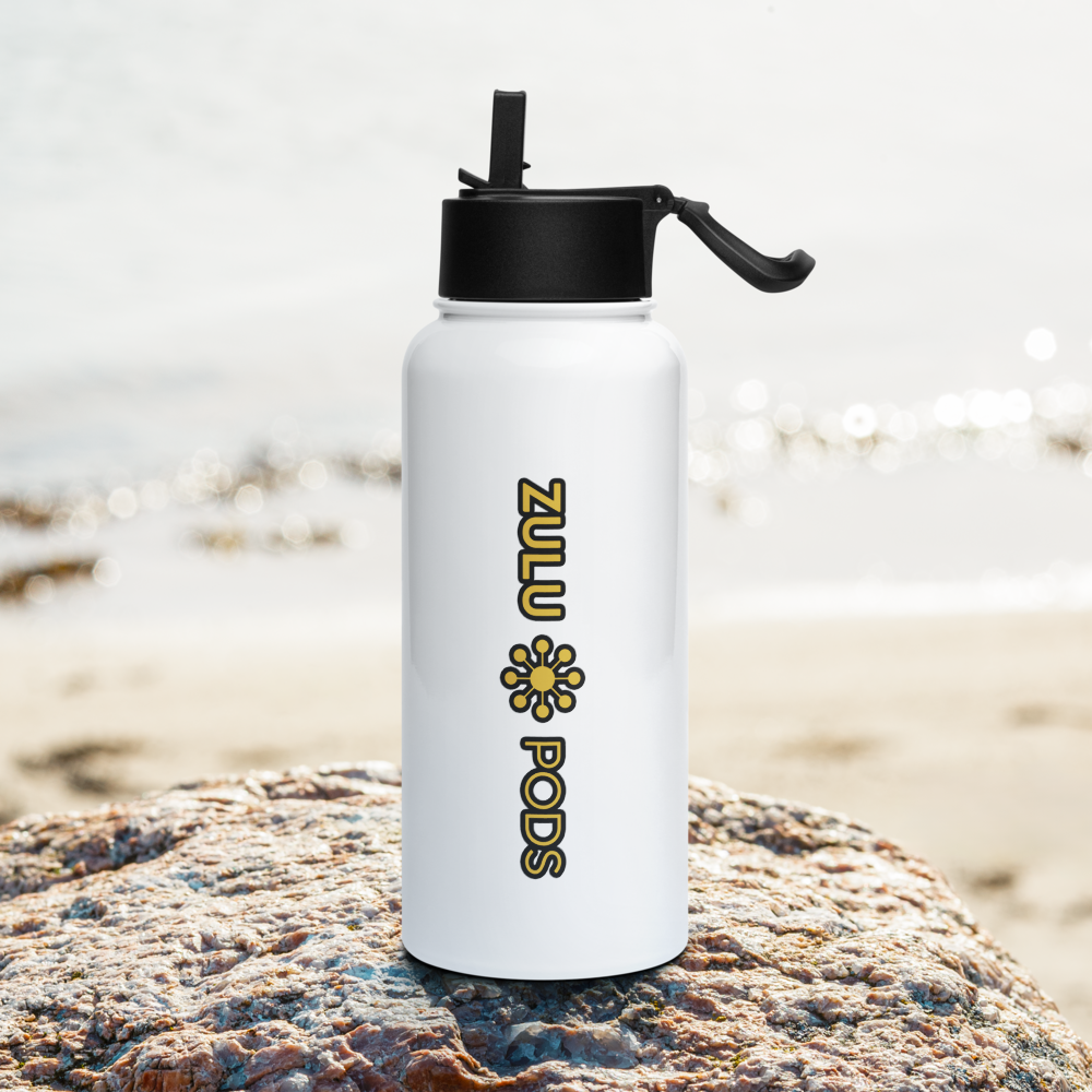 Stainless Steel Water Bottle w/ Straw Lid