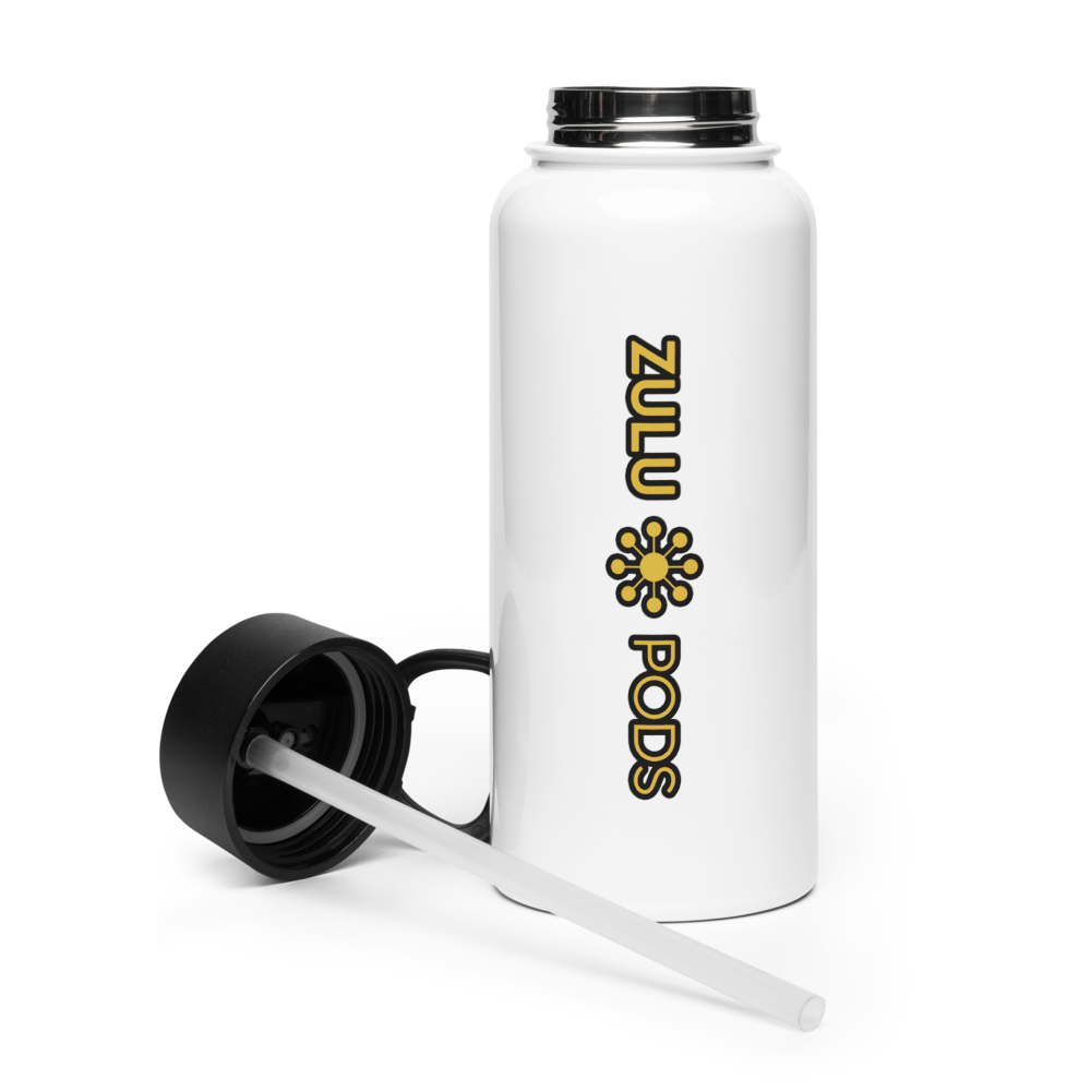 Stainless Steel Water Bottle w/ Straw Lid